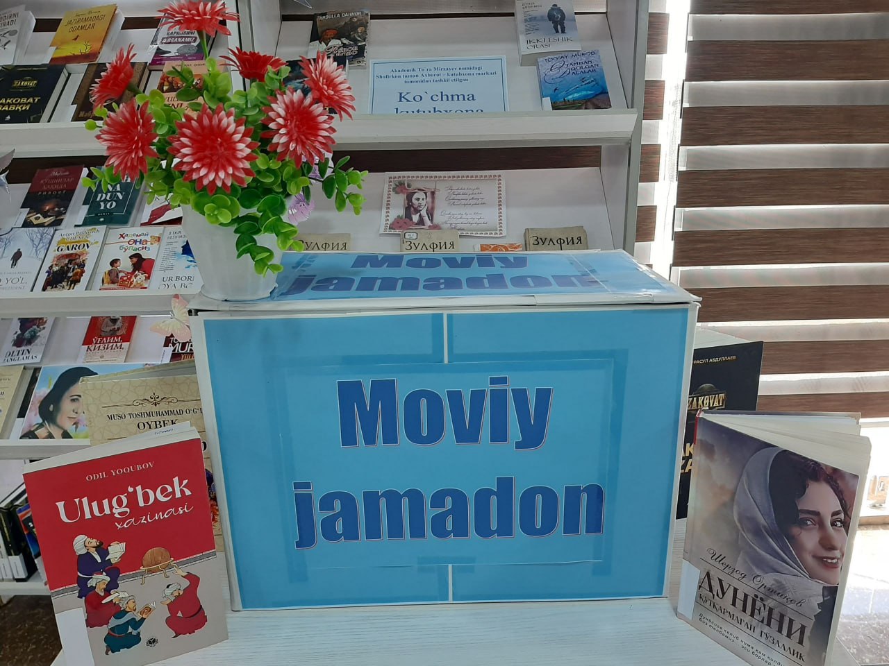 #Moviy_jamadon_tashrifi_loyihasi